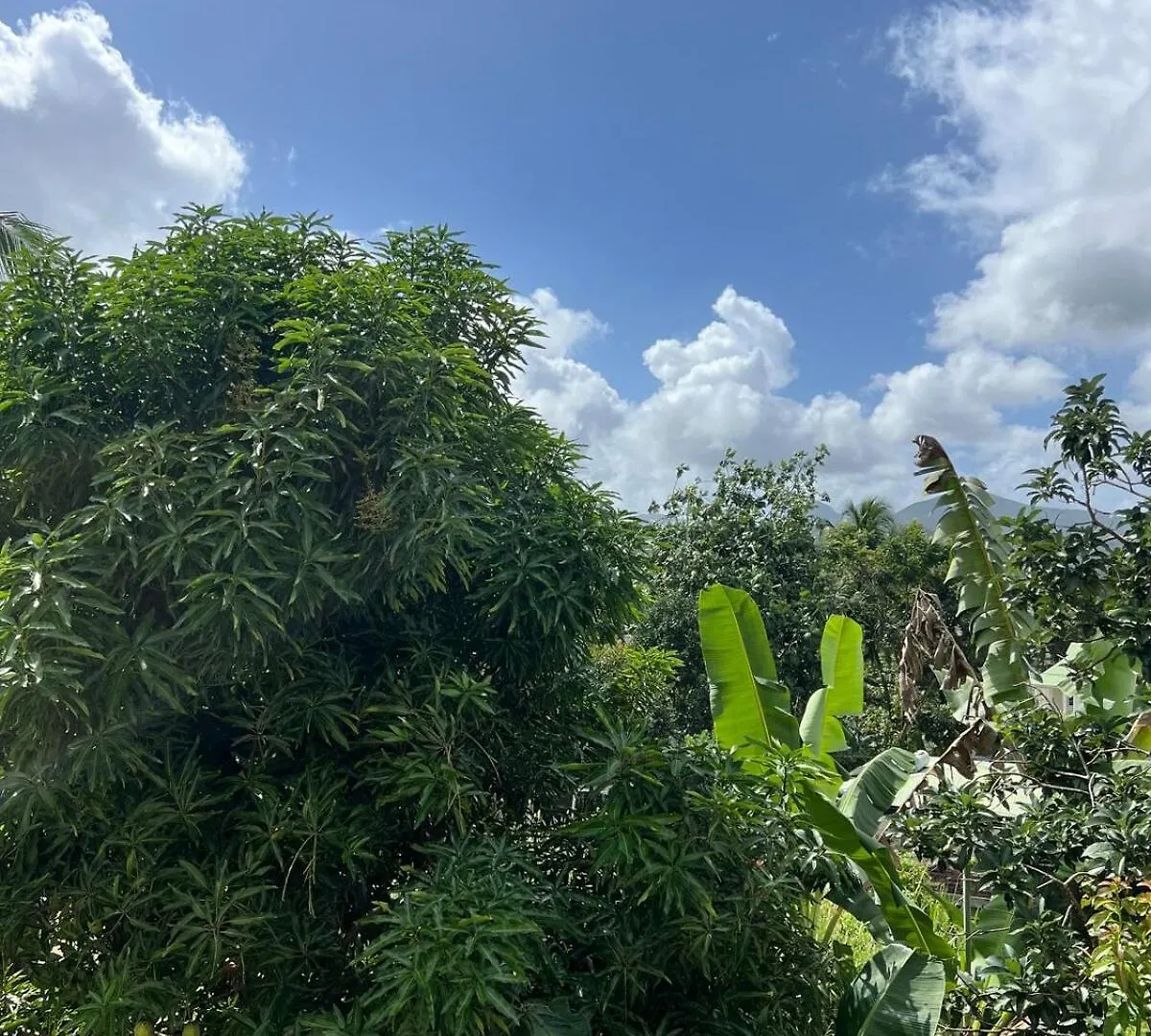 Villa Vato Lamentin Guadeloupe