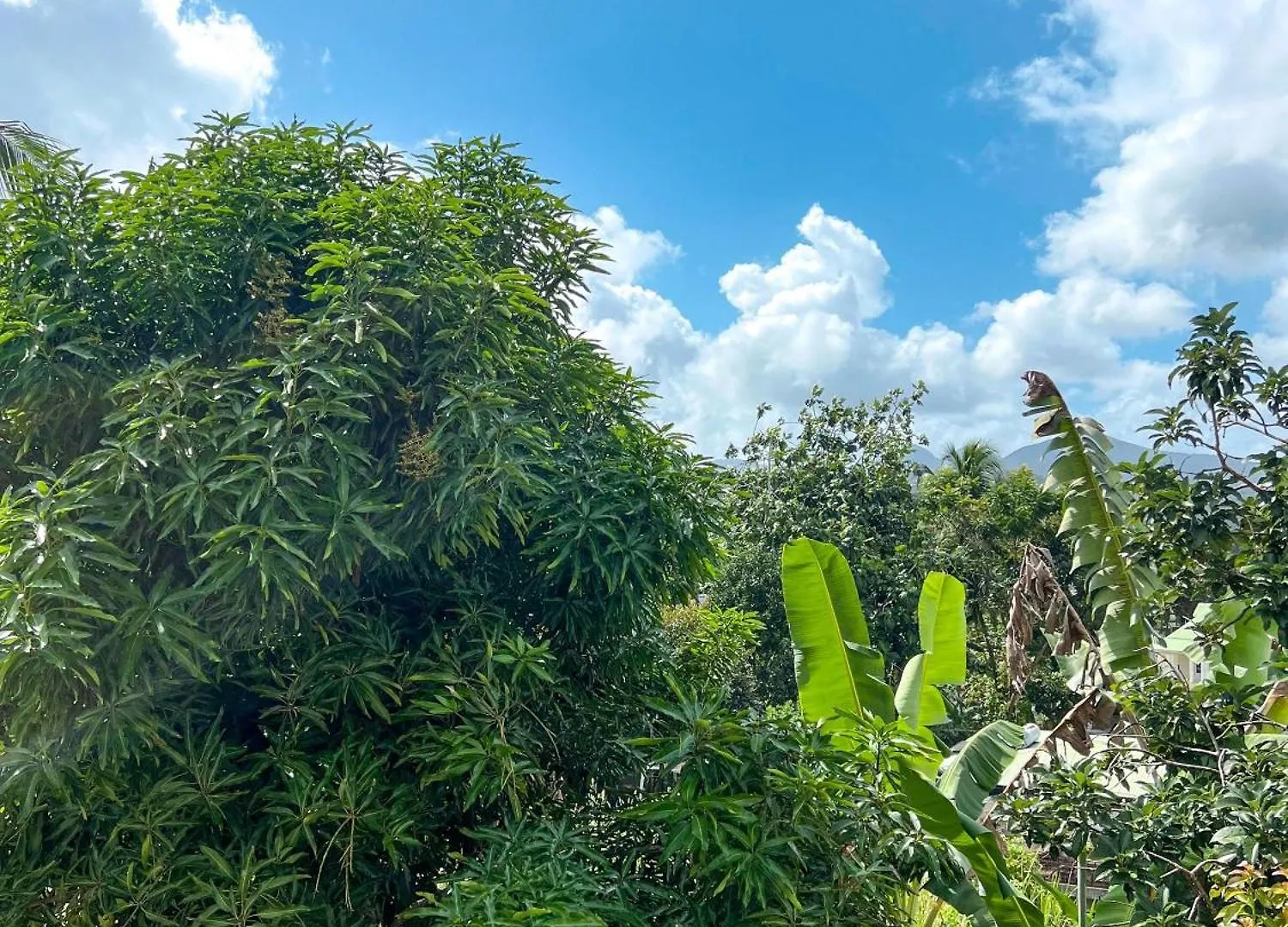 Villa Vato Lamentin 0*,  Guadeloupe